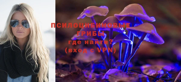 прущая мука Балахна