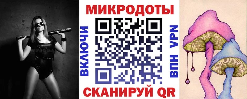 где купить наркоту Плёс Галлюциногенные грибы прущие грибы